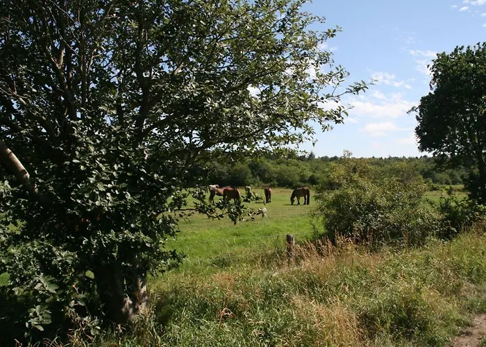 Quartier Hohe Geest 2 Lejlighed